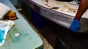 Caz șocant în Italia: o româncă era ținută în condiții inumane și muncea câte 19 ore. Femeia dormea pe lăzi de cartofi