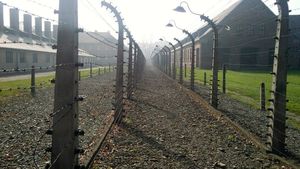 Pandemia de COVID-19 a crescut îngrijorător crimele antisemite în Germania: „Avem nevoie de un stat puternic”