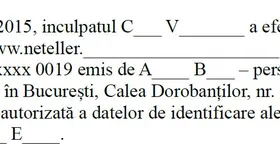 Galerie foto - poza 4