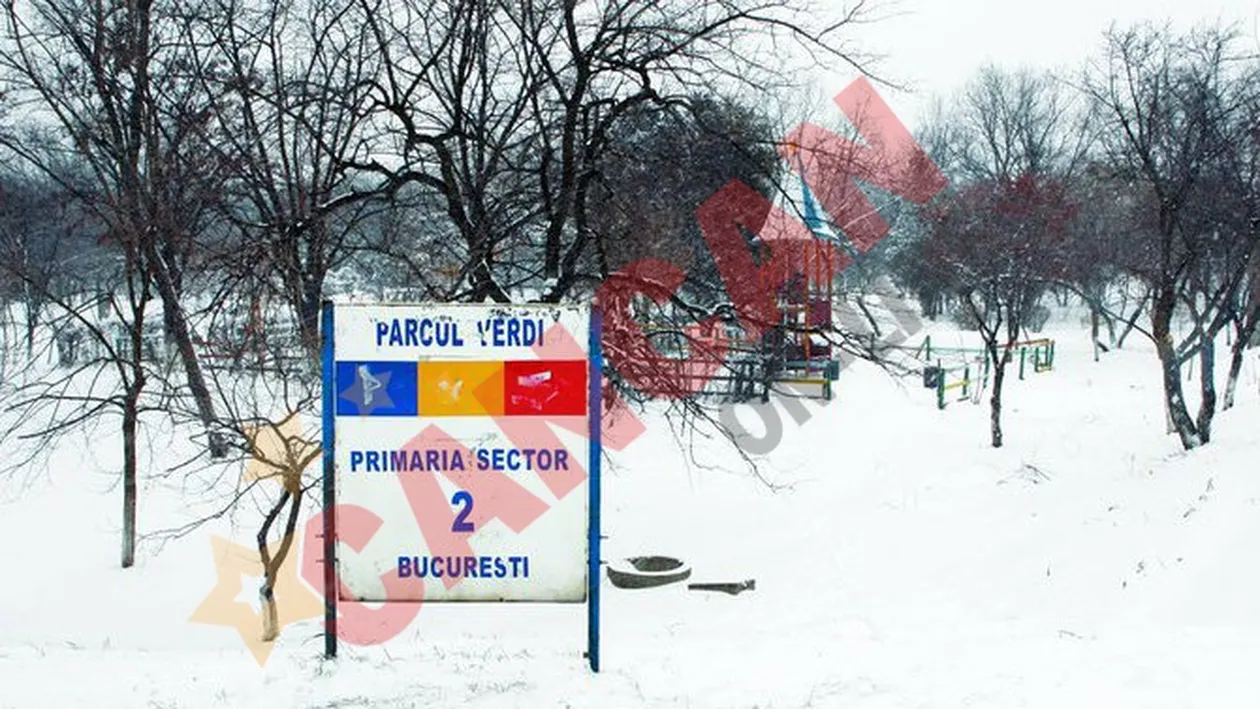 Misterul amantei mafiotului Ranaldi