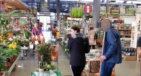 Galerie foto - poza 2