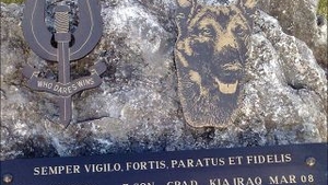 Britanicii venereaza doi caini care au murit in Irak