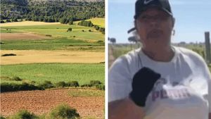 Cât oferă Marinela din Spania pentru munca la vie. Anunțul ei a devenit viral pe TikTok