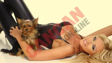 Fara fite! Cainele Biancai Dragusanu s-a imprietenit cu un maidanez la filmarile pentru Iubirea face farse