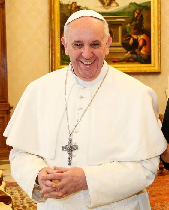 Papa Francisc, eventuală demisie:”Sunt episcop și ar trebui să-mi decid plecarea.”