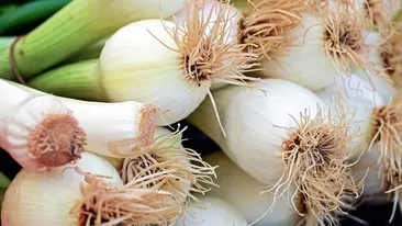 Cât a ajuns să coste un kilogram de ceapă în piață, acum în 2023. Ministrul Agriculturii a răbufnit: ”Nu e în regulă!”