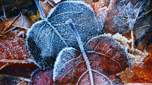 VREMEA se răceşte. PROGNOZA METEO pentru luni şi marţi, în ţară şi în Bucureşti