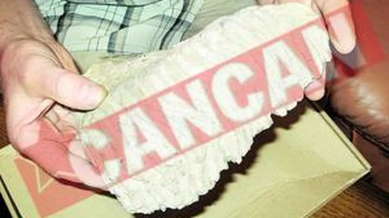 Are acasa un dinte de mamut