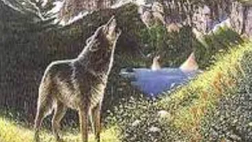 Iluzia optică ce te va înnebuni! Găseşte toţi lupii din această imagine! Indiciu: sunt 4