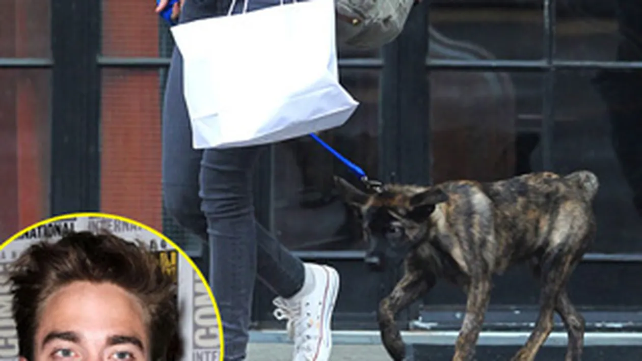 Kristen Stewart si Robert Pattinson se bat pe caine