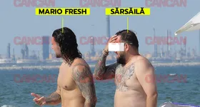 Galerie foto - poza 3