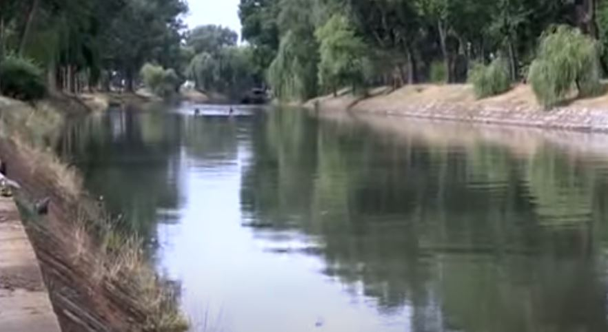 Panică în Timișoara. A fost surprinsă o invazie de șerpi pe malul râului Bega