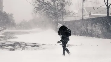 In ce conditii emite ANM Cod ROSU de viscol! Cum sunt gandite avertizarile meteo si ce inseamna fiecare