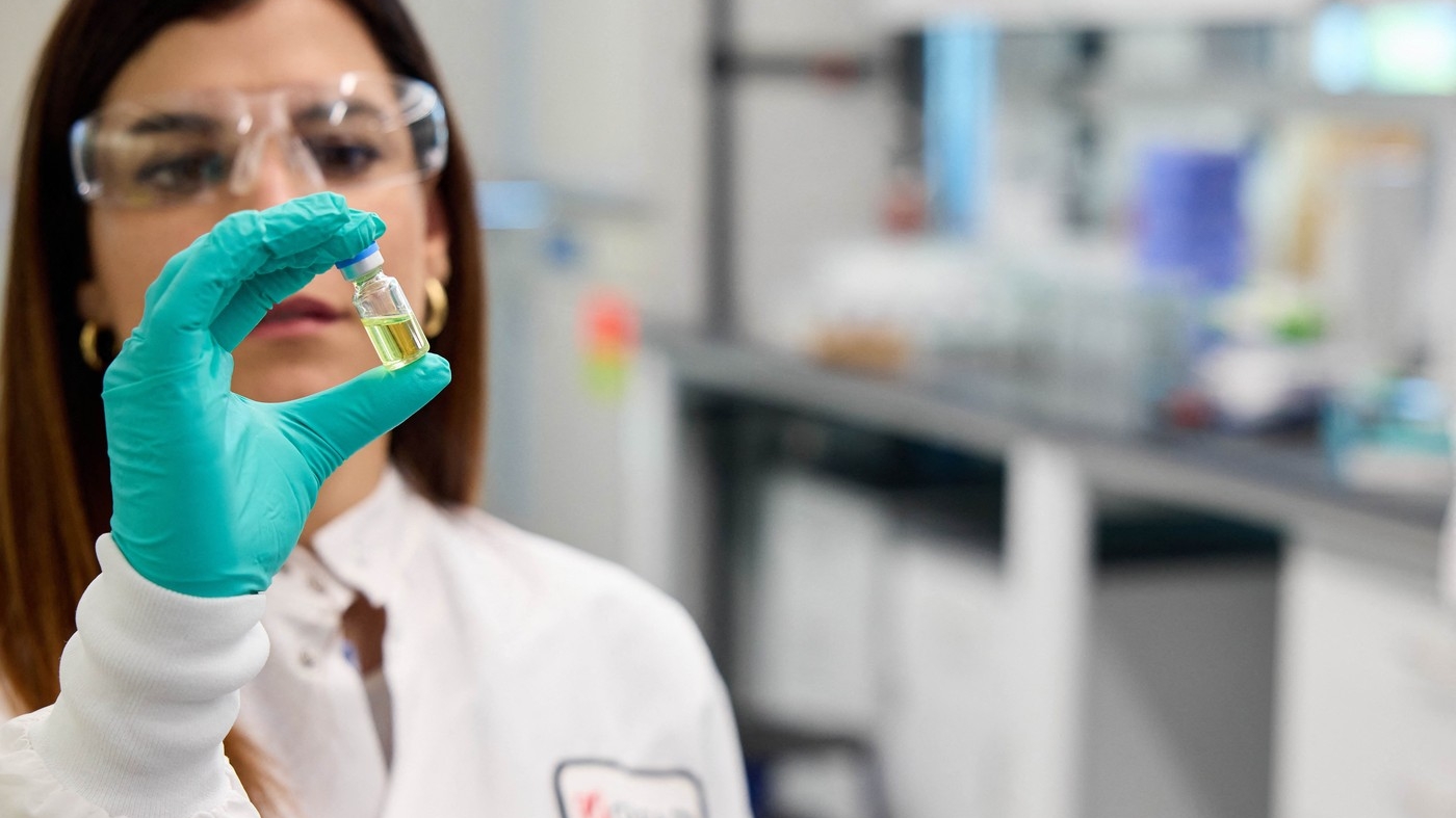 Alertă epidemiologică în România! S-a răspândit virusul ”limbii albastre” și în țara noastră
