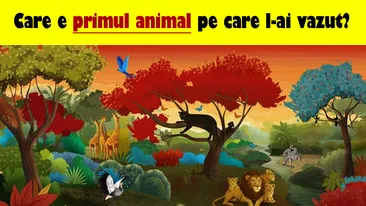 Test psihologic | Care e primul animal pe care l-ai văzut? Răspunsul îți va spune cea mai mare problemă pe care o ai
