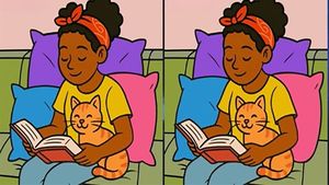 Test de logică | Aceste două imagini par identice, dar nu sunt. Găsiți 3 diferențe în 29 de secunde!