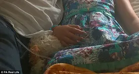 Galerie foto - poza 2