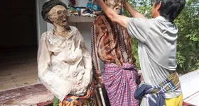 Galerie foto - poza 3