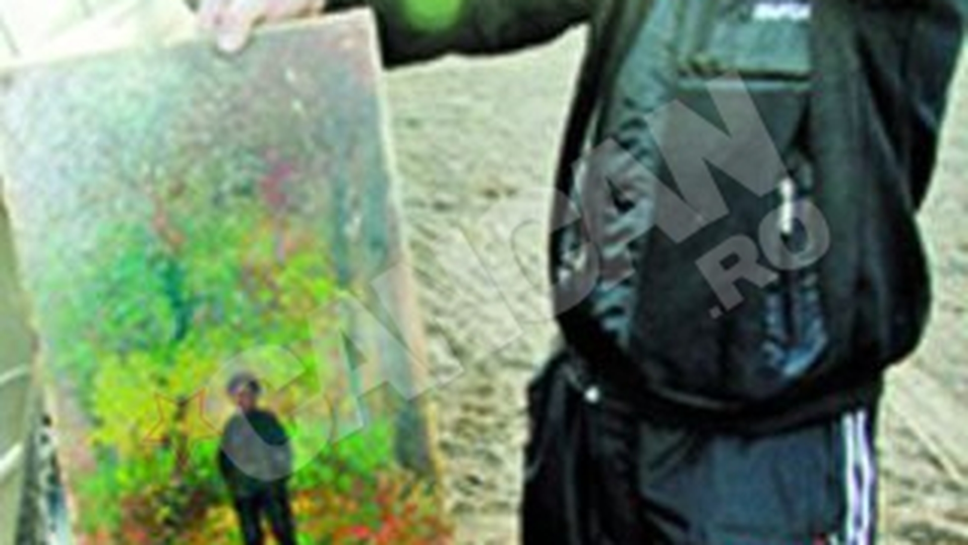 Un hot a luat zece tablouri dintr-o vila din Neamt. Ascunsese tablourile de Grigorescu in sifonier!