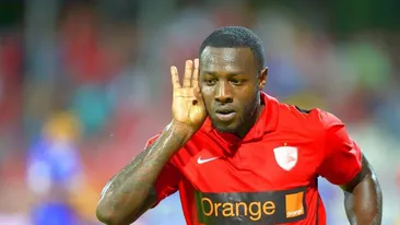 Gnohere a dat iama în ele când a văzut cât sunt de pufoase. „Bizonul“ a călcat din nou strâmb!