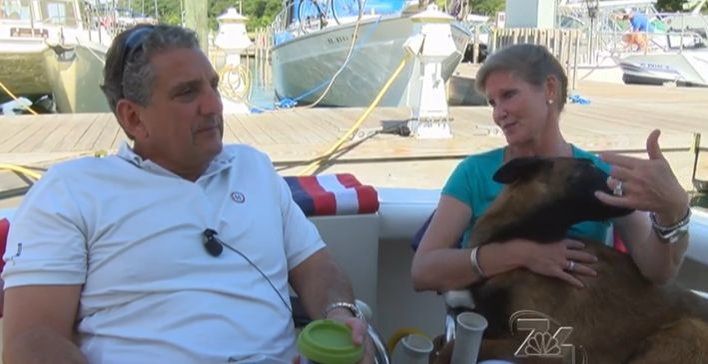 EMOŢIONANT! Un câine a înotat 10 kilometri şi a mers alţi 20 pentru a se întoarce la stăpânii săi