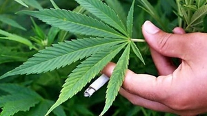 Povestea fabuloasa a unui roman originar din Grecia! A facut avere din cannabis si a ajuns sa fie executat silit de banci!