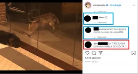 Galerie foto - poza 4