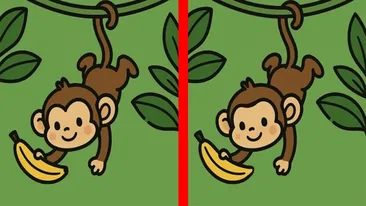 TEST IQ | Câte diferențe sunt între maimuța din stânga și cea din dreapta? Geniile răspund corect în maximum 23 de secunde