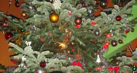 Galerie foto - poza 3