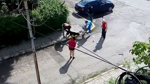 Scene şocante în Târgovişte: Bichon "măcelărit" de pitbull în Parcul Aşchiuţă, sub ochii copiilor