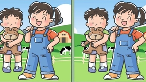 Test de perspicacitate | Câte diferențe există între aceste două poze?