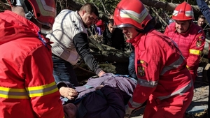 Un copac doborât de vânt s-a prăbușit peste o femeie, la Craiova. Șase județe din sudul țării se află sub cod portocaliu de vânt
