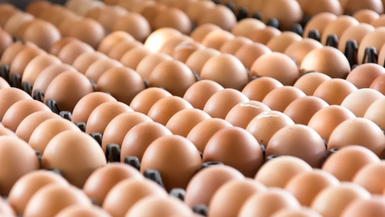 Vânzările de ouă, în scădere cu 30% în perioada Paștelui! Care sunt motivele și cum sunt afectați producătorii