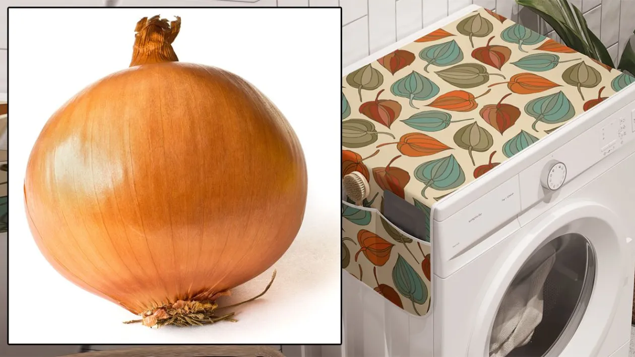 Trucul genial la care nu te-ai gândit! Bagă o ceapă în mașina de spălat