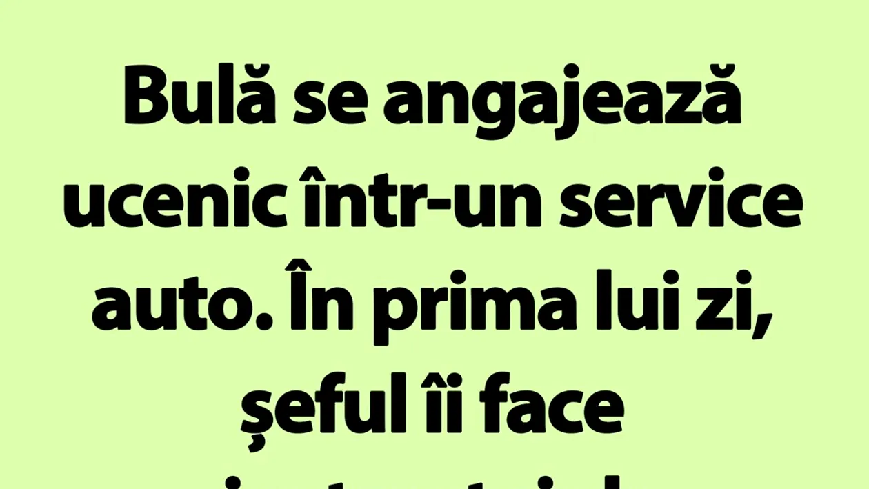 BANC | Bulă se angajează ucenic într-un service auto