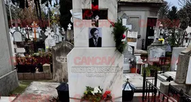 Galerie foto - poza 4