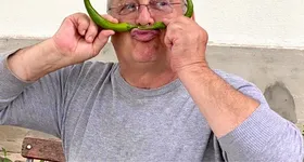 Galerie foto - poza 2