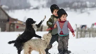 Fotografia care te va face sa uiti de nameti si sinistrati! Vezi imaginea la care tot Facebook-ul a dat Like cu Iarna pe ulita