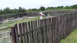 Pesta porcină se întoarce în Dâmbovița: noi focare la Movila, Răzvad și Lungulețu