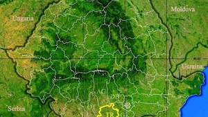 Rezultate Evaluarea Națională 2019 (Capacitate) Teleorman