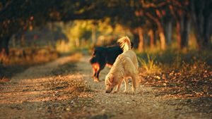 Tatăl copilului de 3 ani din Mărășești este distrus de durere. Ce mesaj sfâșietor a postat: „În loc să te...”