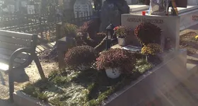 Galerie foto - poza 3