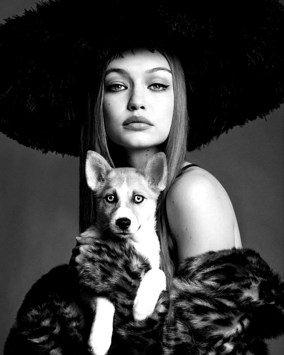 Ce cadou neașteptat au primit Gigi Hadid și Zayn Malik după ce au confirmat vestea că vor deveni părinți