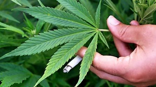 Povestea fabuloasa a unui roman originar din Grecia! A facut avere din cannabis si a ajuns sa fie executat silit de banci!