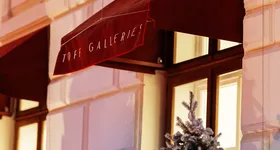 Galerie foto - poza 1