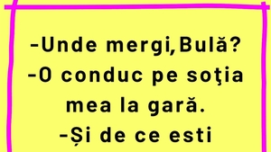 BANC | Bulă își conduce nevasta la gară