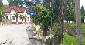 Galerie foto - poza 2