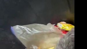 O femeie a mers să ducă gunoiul, dar a avut parte de o surpriză neașteptată. Ce se afla, de fapt, înăuntru