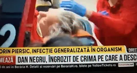 Galerie foto - poza 3