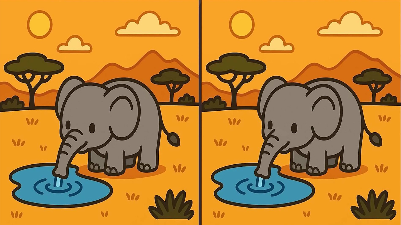 Test de inteligență | Acești doi elefanți par identici, dar nu sunt. Descoperiți cele 3 diferențe!